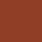 Brick orange solid color background, matte finish, smooth consistent texture, uniform saturation, suggesting a plastic material, simple visual plane.
